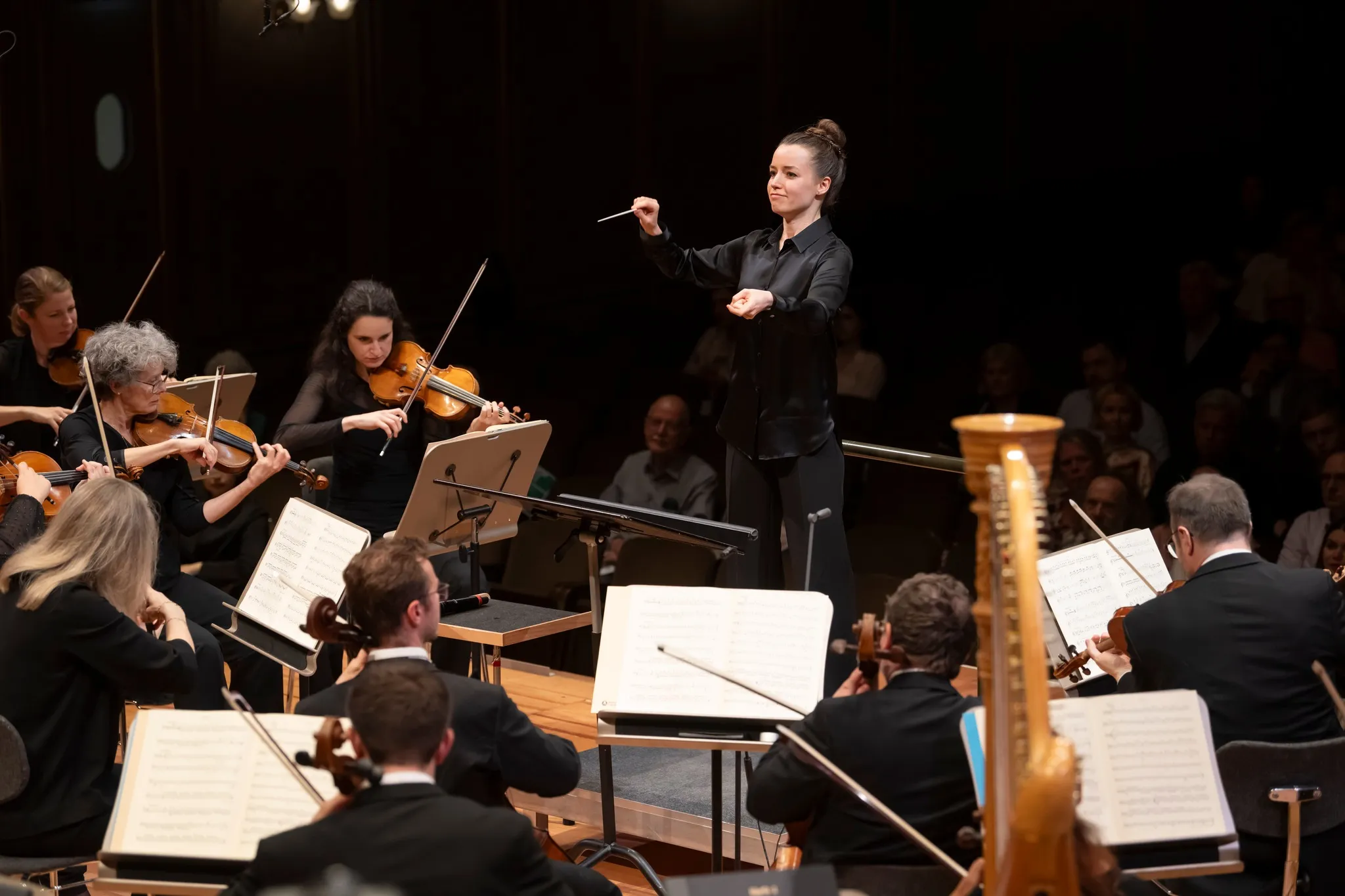 The concert 2