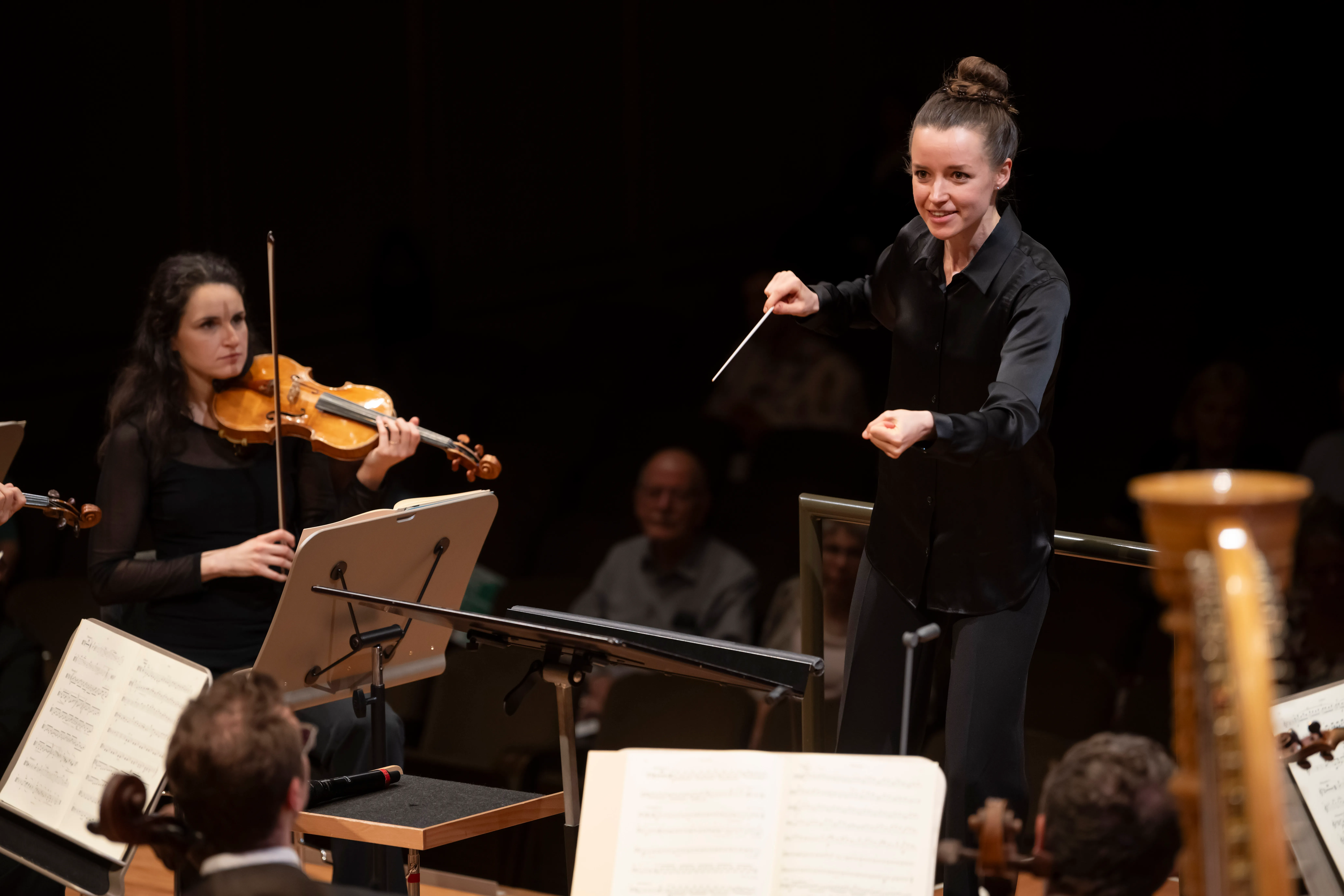 The concert 1
