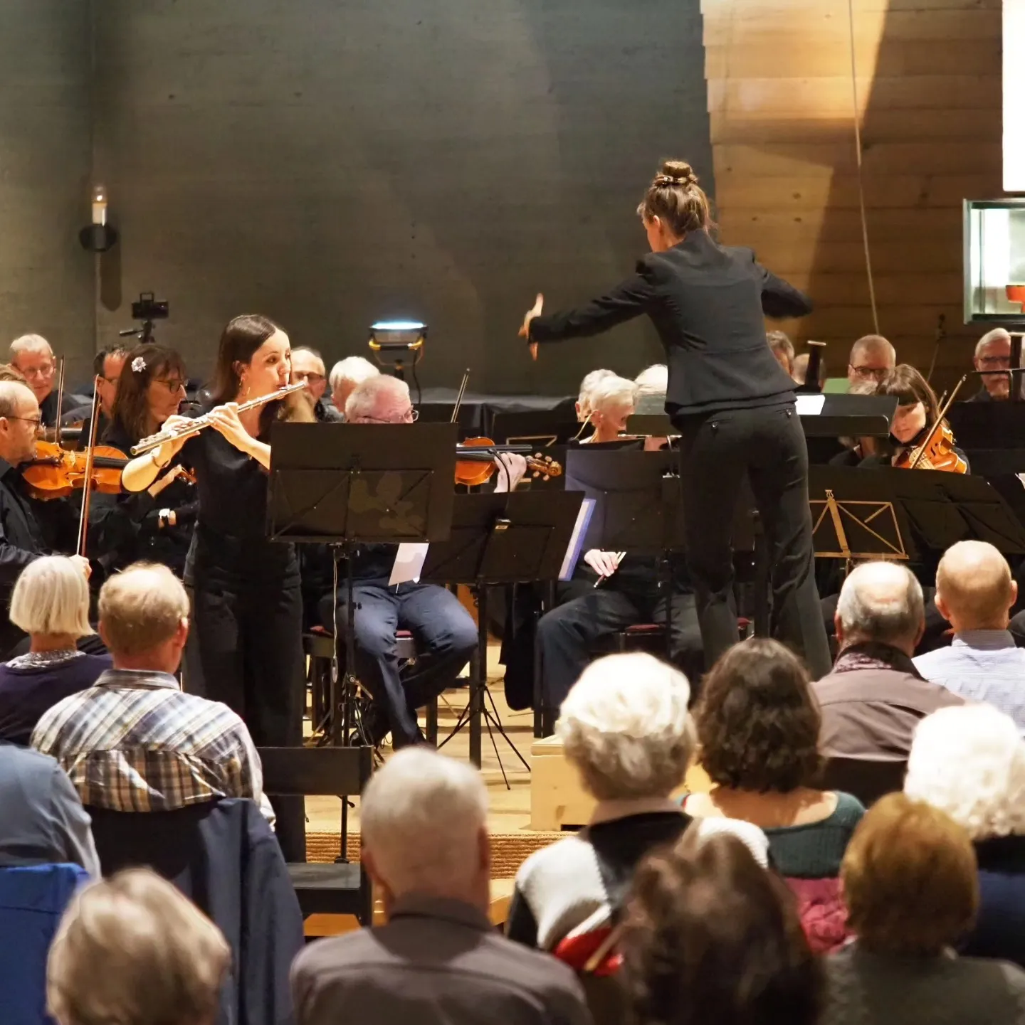 The concert 3