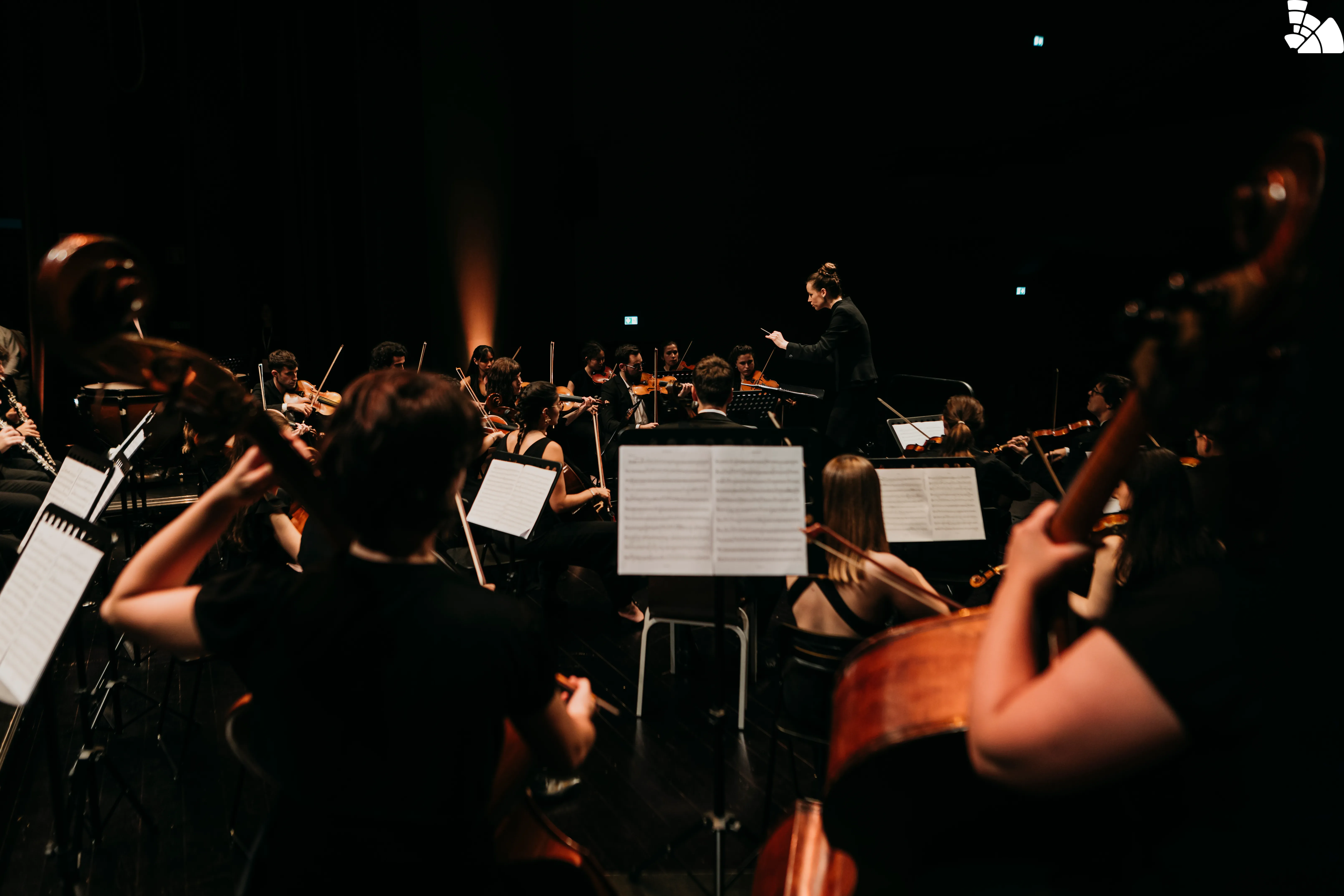 Academy and Concert with MIMA Orchestra 07/2025